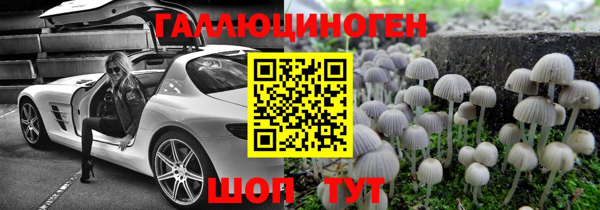 Псилоцибиновые грибы Cubensis Камышлов